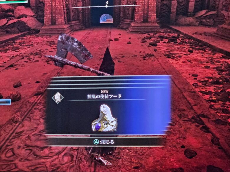 神肌の使徒フードを入手した瞬間の画面